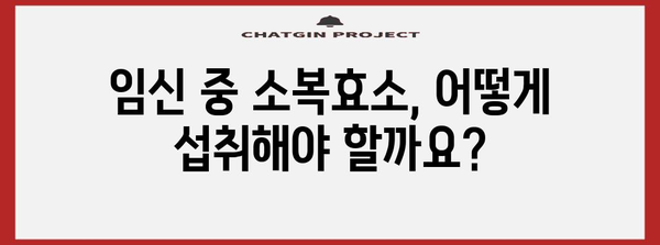 임산부 필수 효소 | 소복효소의 중요성과 섭취 방법