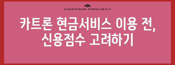 신용점수 관리 | 카트론 현금서비스 주의