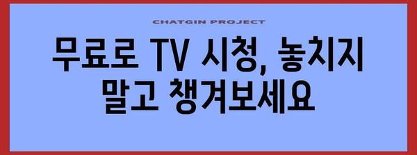 실시간 TV 시청 가이드 | 무료로 다시 보기 가능