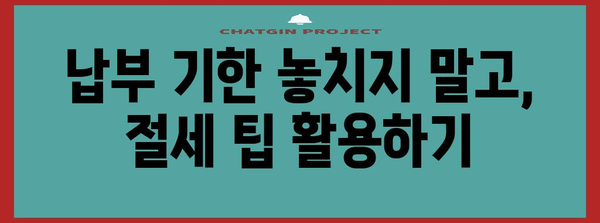 토지 재산세 절약 3단계 법칙 | 부과 기준부터 납부 시기까지
