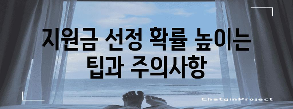 중소기업 지원금 확보를 위한 완벽한 가이드