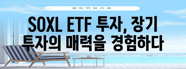 장기 투자의 성공 사례 | SOXL ETF로 달성한 엄청난 수익률