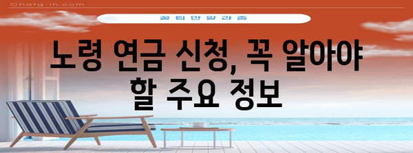 노령 연금 신청 매뉴얼 | 종류, 방법 및 서류 확인