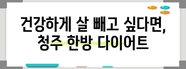 청주에서 안심한 한방 다이어트 | 효과적인 체중 감량 프로그램