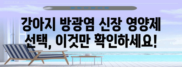강아지 방광염 신장 영양제 | 선택 가이드와 예방법