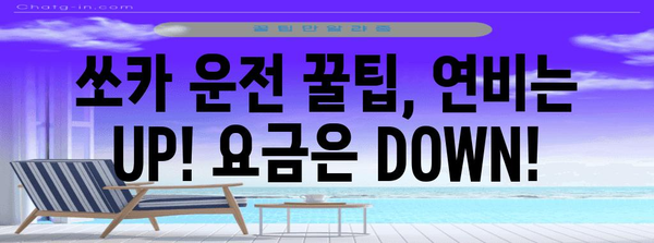 쏘카 이용료 절약법 대공개 | 운전 방법부터 꿀팁까지