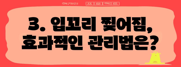 입꼬리 찢어짐 관리 가이드 | 원인 파악과 효과적인 관리 방법