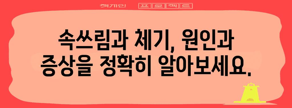 속쓰림과 체하기 위한 완벽 가이드 | 증상 완화, 자세, 음식 추천