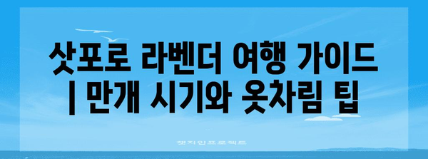 삿포로 라벤더 여행 가이드 | 만개 시기와 옷차림 팁