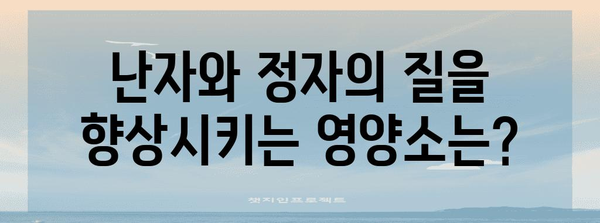 시험관 시술 전후 영양 관리로 성공률 높이기