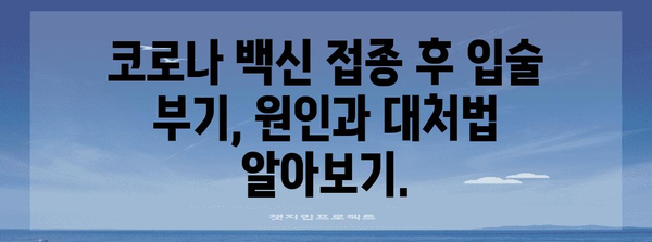코로나 백신 부작용 가능성 | 입술 부기를 확인하세요!