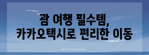 괌 리프호텔 편하게 가기 | 카카오택시 이용 가이드