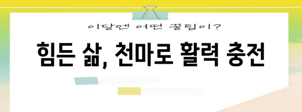 50대 건강 관리 | 간편한 천마 섭취법
