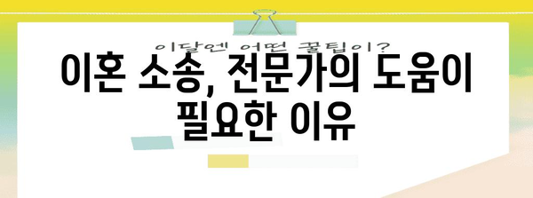 이혼 재산 분할 | 소송 전문가 가이드