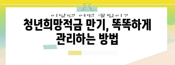 국민은행 청년희망적금 | 만료 시 활용 극대화 가이드