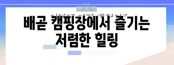 저렴한 배곧의 즐거운 체험 | 캠핑, 고깃집, 소주 명소 탐방