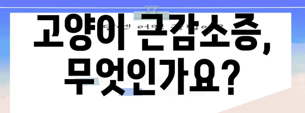 고양이 근감소증 가이드 | 예방부터 치료까지