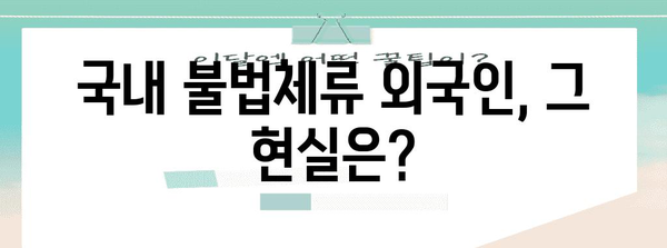 불법체류 외국인 실태 분석과 해결 방안