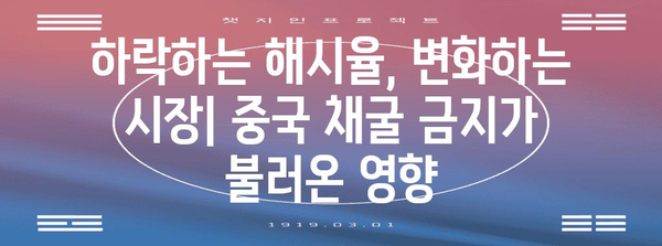 비트코인 중국 채굴 현황 | 규모, 영향, 미래 전망
