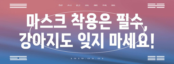 황사 속 안전한 강아지 산책 가이드 | 5가지 주의 사항