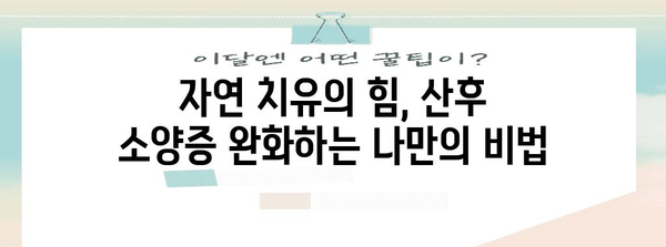 산후 소양증 자연 치유법 | 45일 만에 피부 개선한 나의 이야기