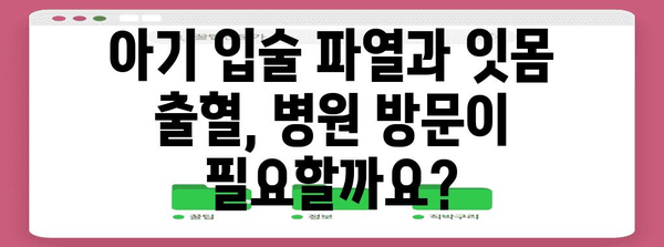 아기 입술 파열 및 잇몸 출혈 | 원인, 대처법, 예방 조치
