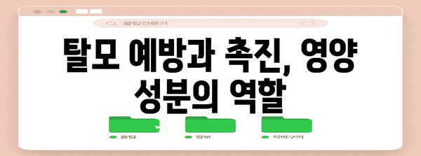 모발 영양 성분 | 건강한 머리카락을 위한 필수 지식