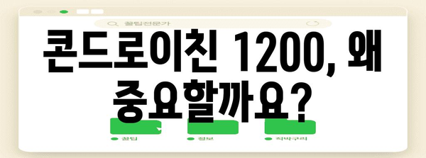 건강한 연골 위한 콘드로이친 1200 선택법