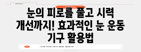 시력 개선을 위한 근시, 난시 복합 눈 운동 기구