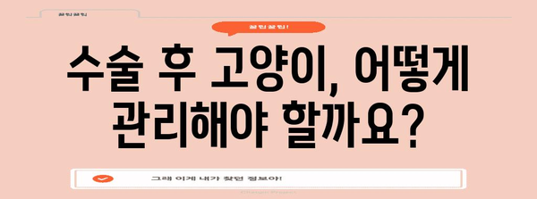고양이 난소낭종 수술의 모든 것