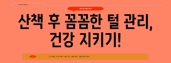 황사 속 안전한 강아지 산책 가이드 | 5가지 주의 사항