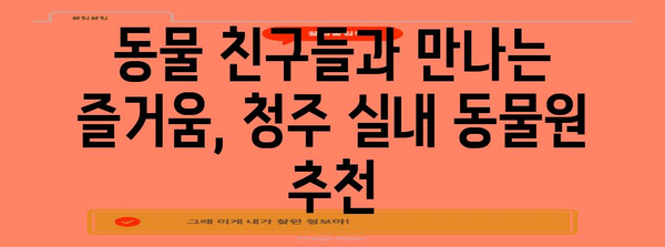 비오는 날 아이들과 함께 갈 만한 청주 실내 동물원 가이드