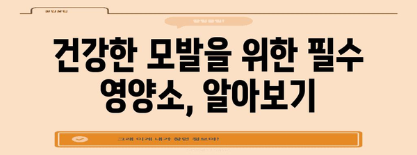 모발 영양 성분 | 건강한 머리카락을 위한 필수 지식