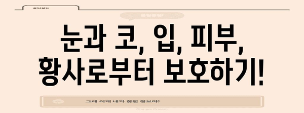 황사 속 안전한 강아지 산책 가이드 | 5가지 주의 사항