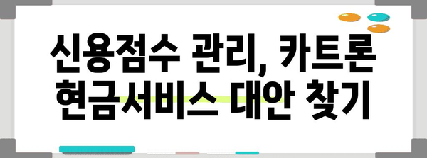 신용점수 관리 | 카트론 현금서비스 주의