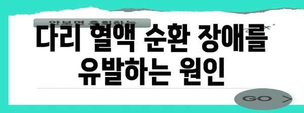 다리 혈액 순환 장애 대처 | 증상과 관리 방법