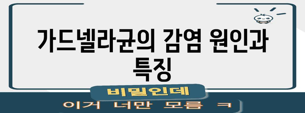 질염 예방법 | 가드넬라균성 질염 증상과 원인