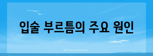 입술 부르틈 해결하기 | 원인과 해결책