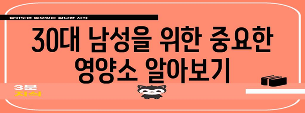 30대 남성 필수 영양제 | 이유와 섭취 안내