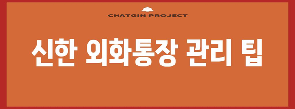 유튜브 수익, 신한 외화통장으로 수령하는 완벽 가이드