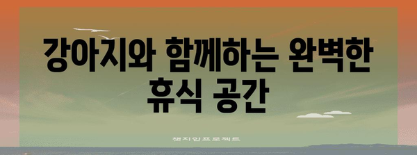 강아지와 함께 떠나는 휴식 여행 | 애견 풀빌라 보보 리조트 후기