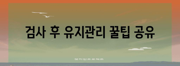 자동차검사 예약 가이드 | 과태료 회피와 편리한 예약