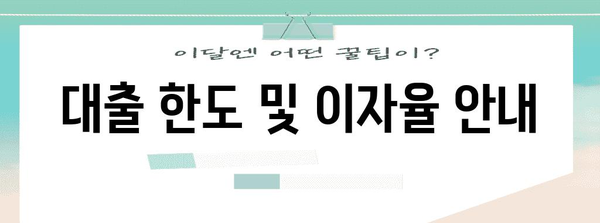 카카오뱅크 비상금 대출 자세히 살펴보기