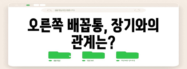 오른쪽 배꼽통 | 동양 의학적 관점으로 이해하기