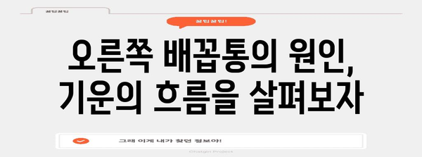 오른쪽 배꼽통 | 동양 의학적 관점으로 이해하기
