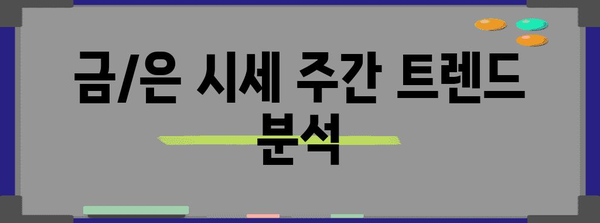 오늘의 금/은 시세 | 14k, 18k 금은 업데이트