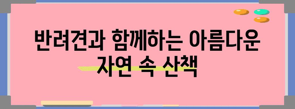 강아지와 함께 떠나는 휴식 여행 | 애견 풀빌라 보보 리조트 후기