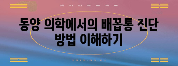 오른쪽 배꼽통 | 동양 의학적 관점으로 이해하기