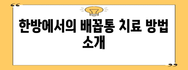 오른쪽 배꼽통 | 동양 의학적 관점으로 이해하기