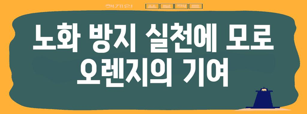 모로 오렌지의 놀라운 노후 건강 효능